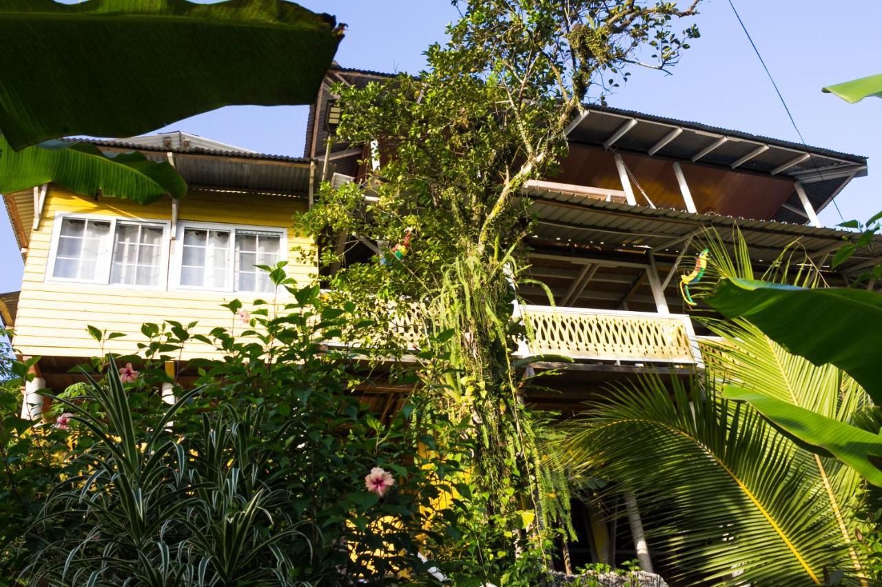 Bastimentos Hill Guest House Bocas del Toro Eksteriør billede