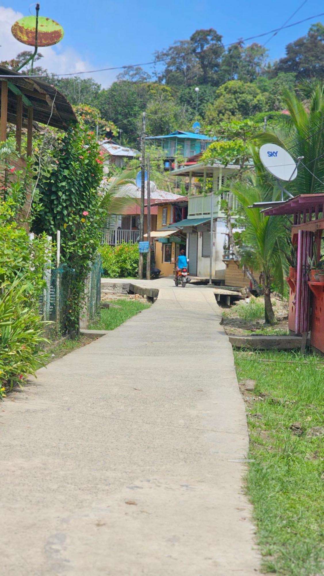 Bastimentos Hill Guest House Bocas del Toro Eksteriør billede